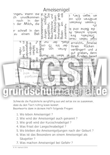 Ameisenigel.pdf